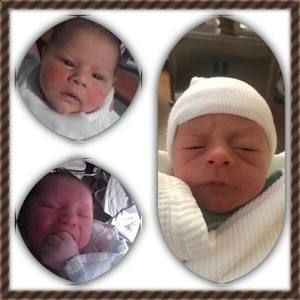 Meet your Posher, Pam